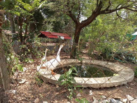 Old age home Trivandrum